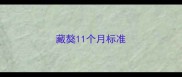 藏獒11个月标准