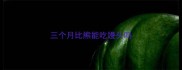 三个月比熊能吃馒头吗