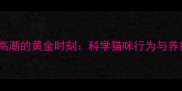 猫咪性高潮的黄金时刻科学猫咪行为与养护指南