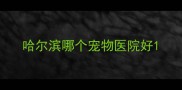 哈尔滨哪个宠物医院好
