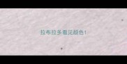 拉布拉多看见颜色