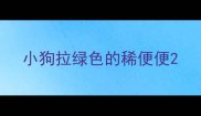 小狗拉绿色的稀便便