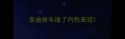泰迪被车撞了内伤表现