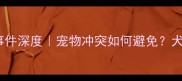 哈士奇杜宾打架事件深度宠物冲突如何避免犬类社交训练全攻略