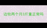 边牧两个月3斤重正常吗