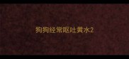 狗狗经常呕吐黄水