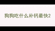 狗狗吃什么补钙最快