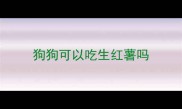 狗狗可以吃生红薯吗