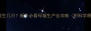 猫咪首胎能生几只新手必看母猫生产全攻略附科学喂养指南