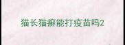 猫长猫癣能打疫苗吗