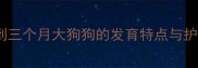 两个月到三个月大狗狗的发育特点与护理重点