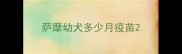 萨摩幼犬多少月疫苗