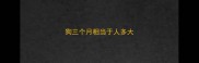 狗三个月相当于人多大