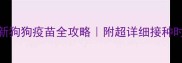 幼犬必看最新狗狗疫苗全攻略附超详细接种时间表和避坑指南