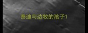 泰迪与边牧的孩子