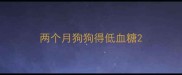 两个月狗狗得低血糖