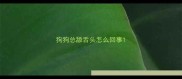 狗狗总舔舌头怎么回事