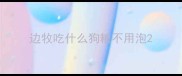 边牧吃什么狗粮不用泡
