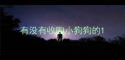 有没有收购小狗狗的