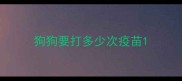 狗狗要打多少次疫苗