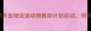 深圳免费领养宠物流浪动物救助计划启动领养即送福利