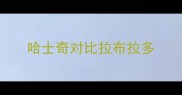 哈士奇对比拉布拉多