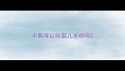 小狗可以吃婴儿米粉吗