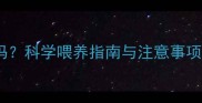 拉布拉多能喝羊奶吗科学喂养指南与注意事项全附喂养方案