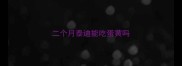 二个月泰迪能吃蛋黄吗