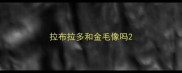 拉布拉多和金毛像吗