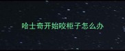 哈士奇开始咬柜子怎么办