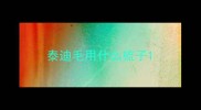 泰迪毛用什么梳子