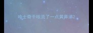 哈士奇干咳流了一点黄鼻涕