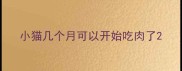 小猫几个月可以开始吃肉了