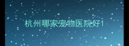 杭州哪家宠物医院好