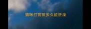猫咪打育苗多久能洗澡