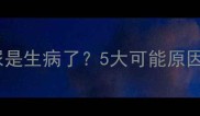 狗狗趴着尿尿是生病了5大可能原因及应对措施