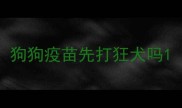 狗狗疫苗先打狂犬吗