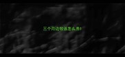 三个月边牧该怎么养