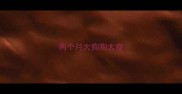 两个月大狗狗太瘦