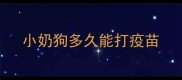 小奶狗多久能打疫苗