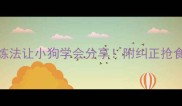 3步训练法让小狗学会分享附纠正抢食口诀