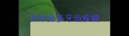 拉布拉多牙齿疾病