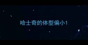 哈士奇的体型偏小