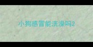 小狗感冒能洗澡吗