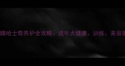 蓝眼睛哈士奇养护全攻略成年犬健康训练美容指南