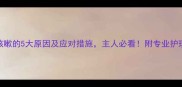 狗狗咳嗽的5大原因及应对措施主人必看附专业护理指南