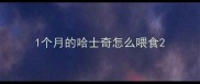 1个月的哈士奇怎么喂食