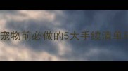 最新版养宠物前必做的5大手续清单与注意事项