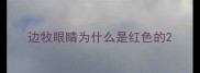 边牧眼睛为什么是红色的